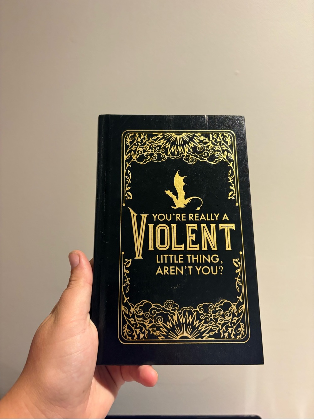 Booktok “fourth wing” journal